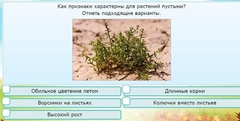 Интерактивные курсы. Окружающий мир 3 класс . Базовый. - fgospostavki.ru - Балахна