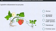 Интерактивные курсы. Биология 7 класс. Расширенный. - fgospostavki.ru - Балахна