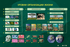 Электрифицированный стенд "Уровни организации жизни" - fgospostavki.ru - Балахна