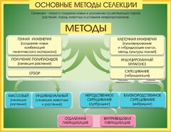 Стенд "Методы селекции и биотехнологии" - fgospostavki.ru - Балахна