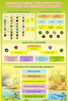 Стенд "Классификация животного мира" - fgospostavki.ru - Балахна