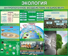 Стенд "Экология. Антропогенное воздействие на биосферу" - fgospostavki.ru - Балахна