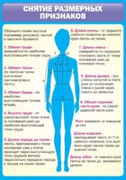 Стенд "Снятие мерок" Вариант 2 - fgospostavki.ru - Балахна