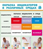 Стенд "Окраска индикаторов в различных средах" - fgospostavki.ru - Балахна