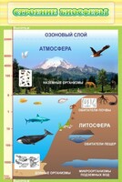 Стенд "Строение биосферы" - fgospostavki.ru - Балахна