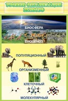 Стенд "Уровни организации живого" - fgospostavki.ru - Балахна