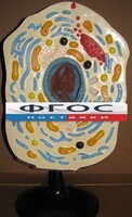 Модель "Клетка животного" - fgospostavki.ru - Балахна