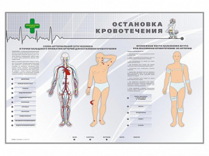 Электрифицированный стенд "Остановка кровотечения" - fgospostavki.ru - Балахна