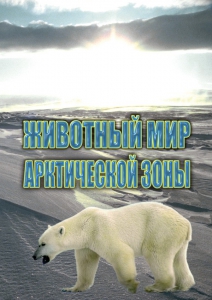 DVD "Животный мир Арктической зоны" - fgospostavki.ru - Балахна