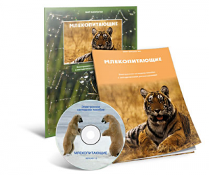 Электронное наглядное пособие «Млекопитающие» - fgospostavki.ru - Балахна