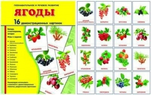 Демонстрационные карточки "Ягоды" - fgospostavki.ru - Балахна