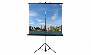 Проекционный экран на штативе Lumien Eco View (LEV-100105) 160x160 см - fgospostavki.ru - Балахна