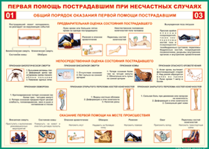 Таблица "Общий порядок оказания первой помощи пострадавшим" (100х140 сантиметров, винил) - fgospostavki.ru - Балахна