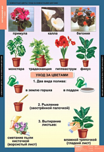 Комплект таблиц. Окружающий мир 1 класс. - fgospostavki.ru - Балахна
