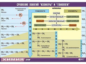 Таблица демонстрационная "Сравнение понятий изомер и гомолог" (винил 70x100) - fgospostavki.ru - Балахна