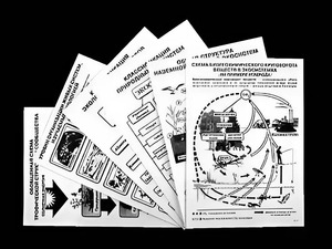 Комплект таблиц по экологии "Экосистема-экологическая единица окружающей среды" (ламинированные, А4, 12 штук) - fgospostavki.ru - Балахна