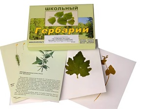 Гербарий "Систематика растений. Высшие споровые и семенные" (раздаточный) - fgospostavki.ru - Балахна