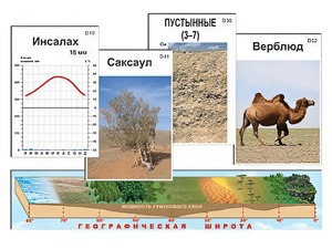 Модель-аппликация "Природные зоны" - fgospostavki.ru - Балахна