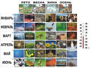 Фенологические наблюдения - fgospostavki.ru - Балахна