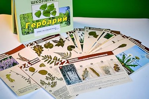 Гербарий к курсу основ общей биологии - fgospostavki.ru - Балахна