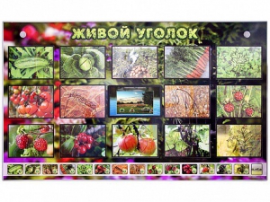 Комплект оборудования "Живой уголок" (растения) с тифлопереводом и сурдокомментариями - fgospostavki.ru - Балахна