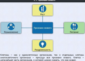 Интерактивные курсы. Биология 5 класс. Базовый - fgospostavki.ru - Балахна