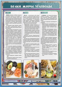 Стенд "Белки. Жиры. Углеводы" - fgospostavki.ru - Балахна