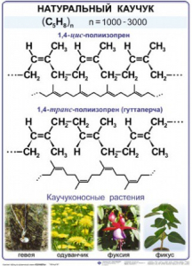 Комплект демонстрационных таблиц по химии "Полимеры" (комплект 12 таблиц) - fgospostavki.ru - Балахна