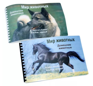 Пособие для слабовидящих - Домашние животные - fgospostavki.ru - Балахна