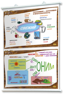 Плакаты по русскому языку для оформления кабинета. - fgospostavki.ru - Балахна