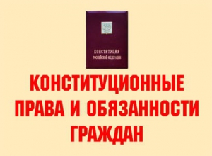 Комплект плакатов "Конституционные права и обязанности граждан" - fgospostavki.ru - Балахна