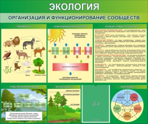 Стенд "Экология. Организация и функционирование сообществ" - fgospostavki.ru - Балахна
