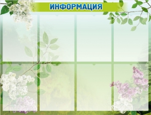 Стенд "Информация" Вариант 13 - fgospostavki.ru - Балахна