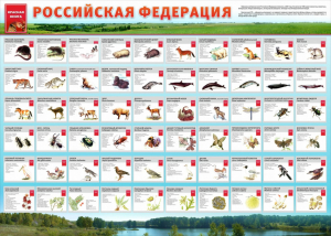 Стенд "Красная книга РФ" - fgospostavki.ru - Балахна