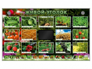 Комплект оборудования "Живой уголок" (растения) - fgospostavki.ru - Балахна