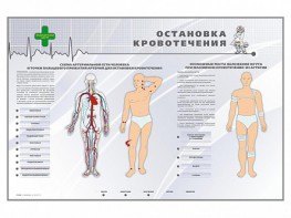Электрифицированный стенд "Остановка кровотечения" - fgospostavki.ru - Балахна