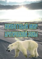 DVD "Животный мир Арктической зоны" - fgospostavki.ru - Балахна
