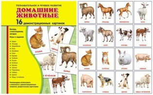 Демонстрационные карточки "Домашние животные" - fgospostavki.ru - Балахна