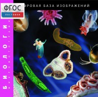 Биология. Микрофотографии. (Цифровая база изображений) - fgospostavki.ru - Балахна