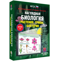 Наглядная биология. 6 класс. Растения. Грибы. Бактерии - fgospostavki.ru - Балахна