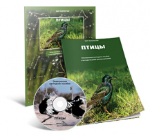 Электронное наглядное пособие «Птицы» - fgospostavki.ru - Балахна