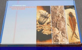 Коллекция "Палеонтологическая" (16 образцов) - fgospostavki.ru - Балахна