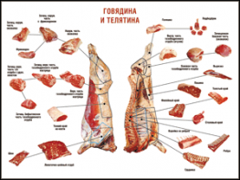 Таблица "Правила разделки мясных туш. Говядина и телятина" (100х140 сантиметров, винил) - fgospostavki.ru - Балахна