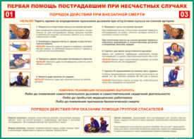 Таблица "Порядок действий при внезапной смерти" (100х140 сантиметров, винил) - fgospostavki.ru - Балахна