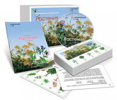 Комбинированное наглядное пособие «Растения» - fgospostavki.ru - Балахна