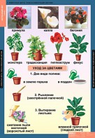 Комплект таблиц. Окружающий мир 1 класс. - fgospostavki.ru - Балахна