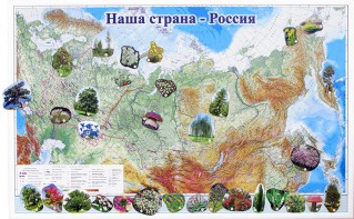 Магнитные карточки "Растения" - fgospostavki.ru - Балахна