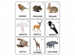 Набор магнитных карточек по музыке "Животные" (9 штук) - fgospostavki.ru - Балахна