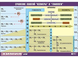 Таблица демонстрационная "Сравнение понятий изомер и гомолог" (винил 70x100) - fgospostavki.ru - Балахна