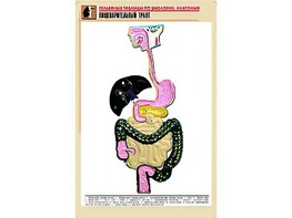 Рельефная таблица "Пищеварительный тракт" (формат А1, матовое ламинирование) - fgospostavki.ru - Балахна